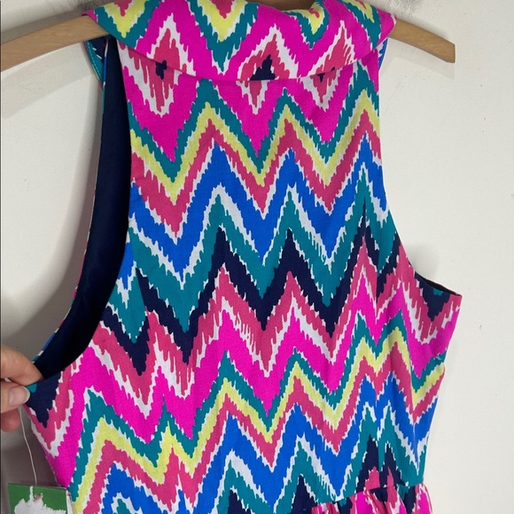 NWT Lilly Pulitzer Sherlynn Hearts A Flutter Multi Color Chevron Striped Dress 8 - Picture 12 of 16